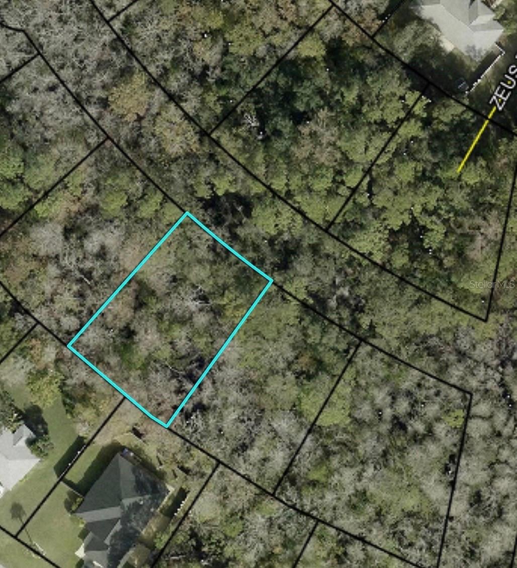 PALM COAST, FL, 32164