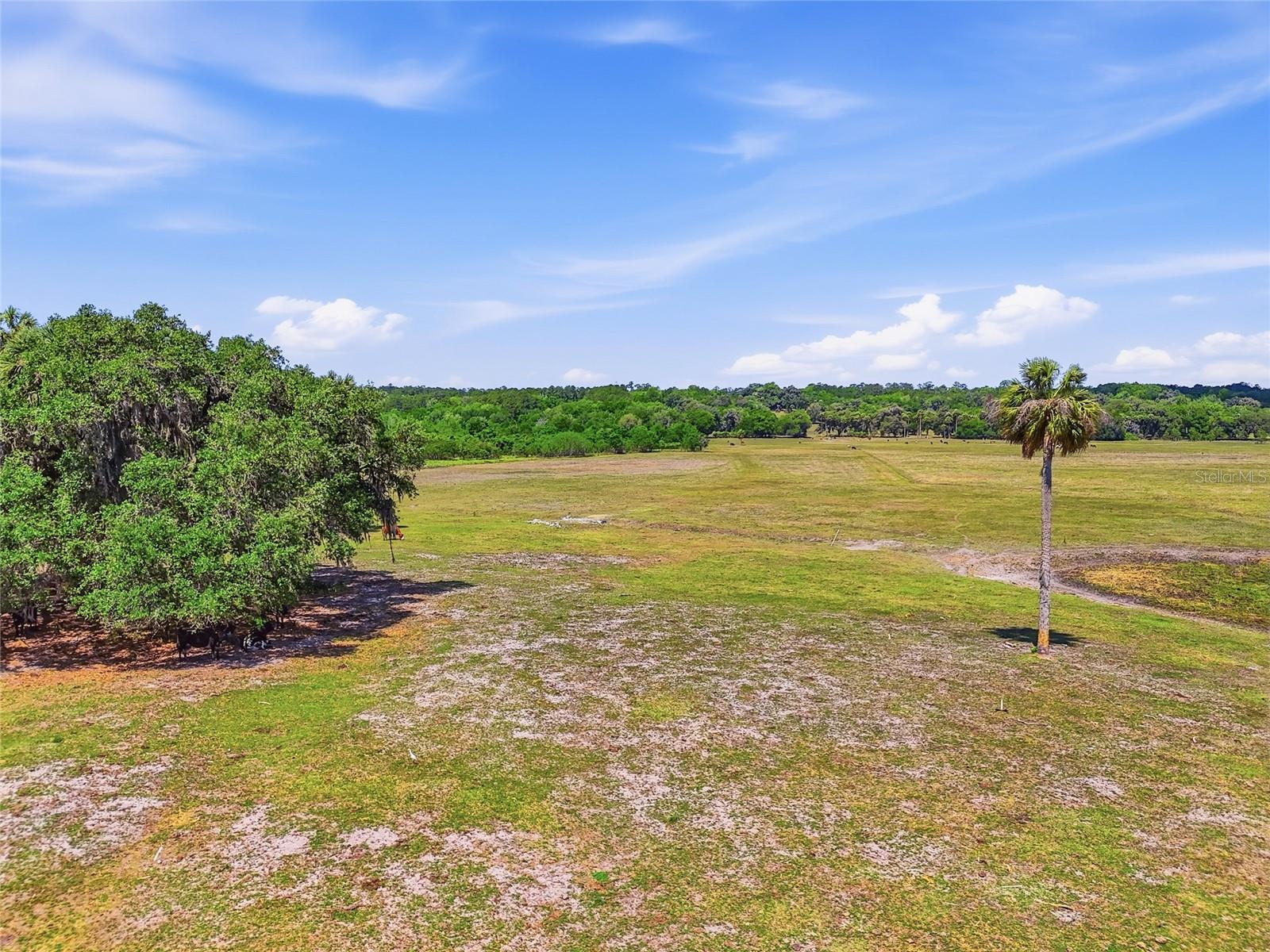 22130 NW 75TH AVENUE RD, MICANOPY, FL, 32667