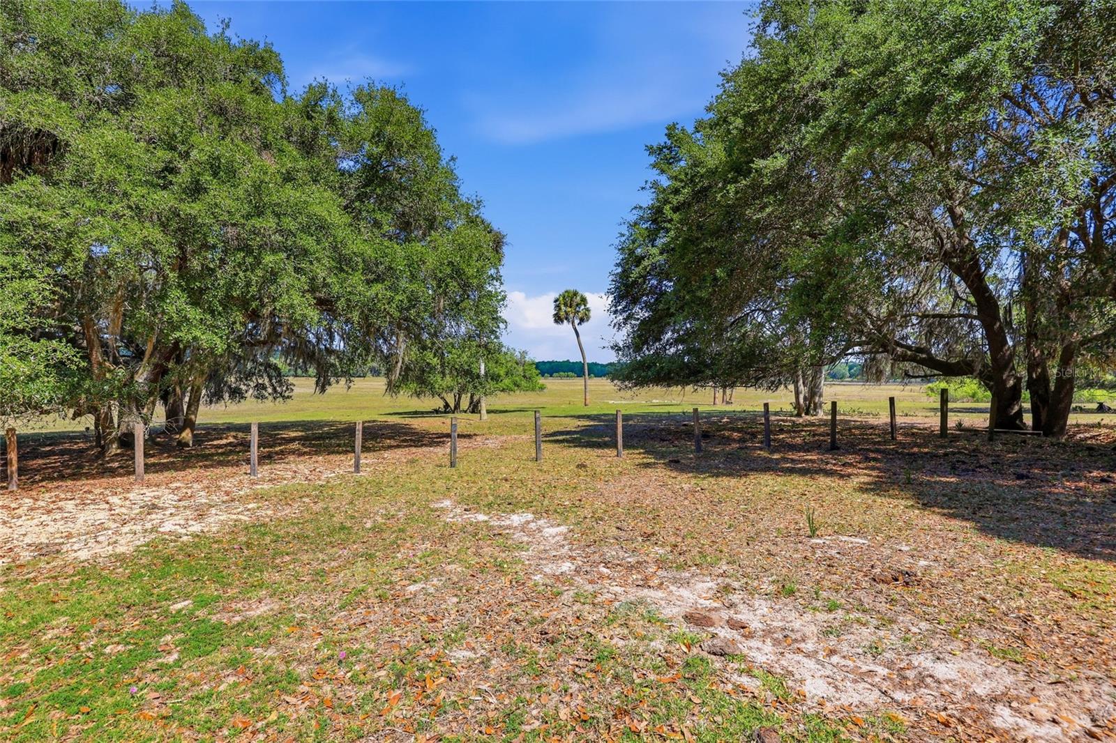 22130 NW 75TH AVENUE RD, MICANOPY, FL, 32667