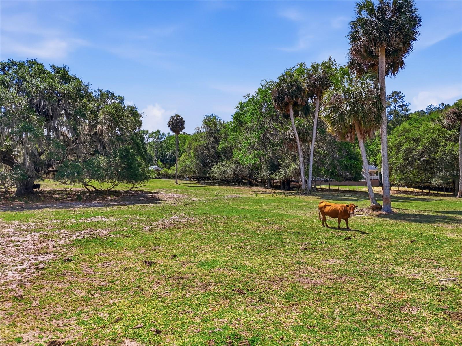 22130 NW 75TH AVENUE RD, MICANOPY, FL, 32667