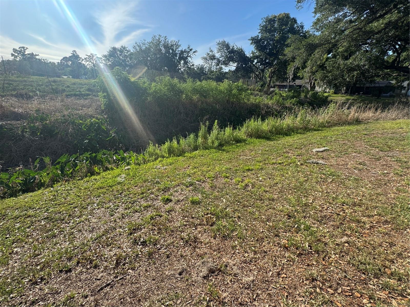2376 WINDSOR OAKS AVE, LUTZ, FL, 33549