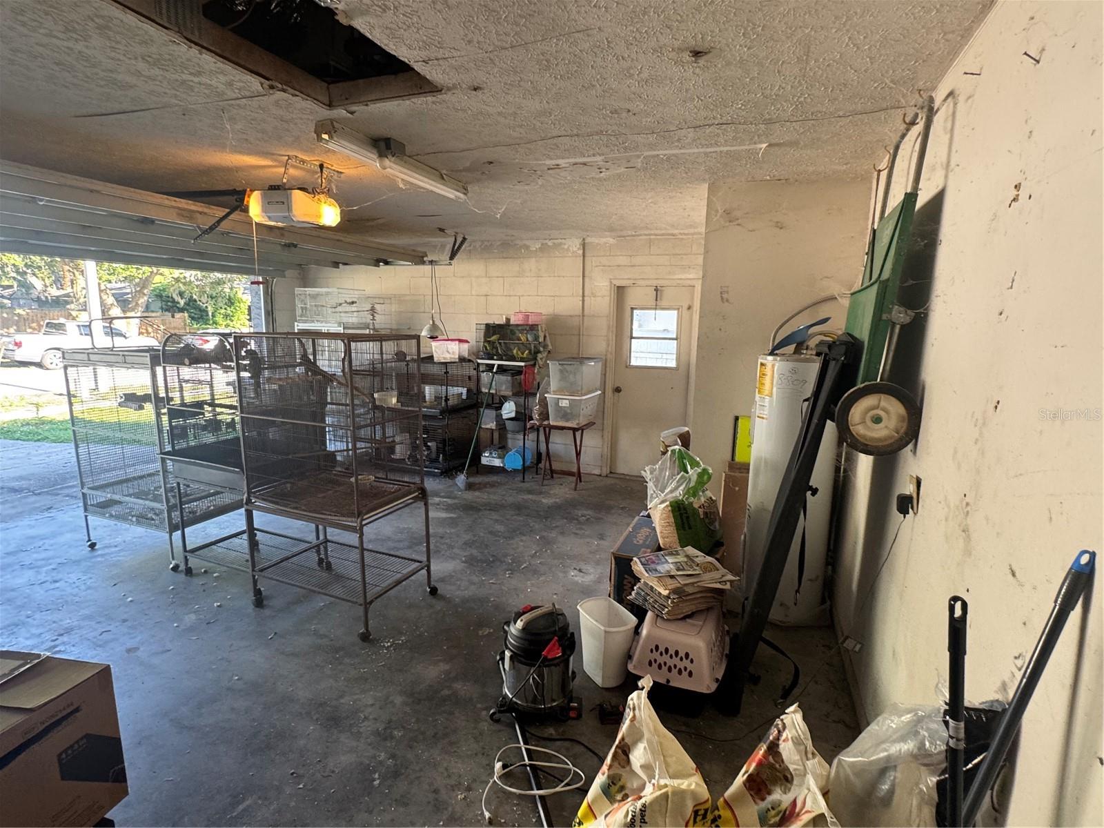2376 WINDSOR OAKS AVE, LUTZ, FL, 33549
