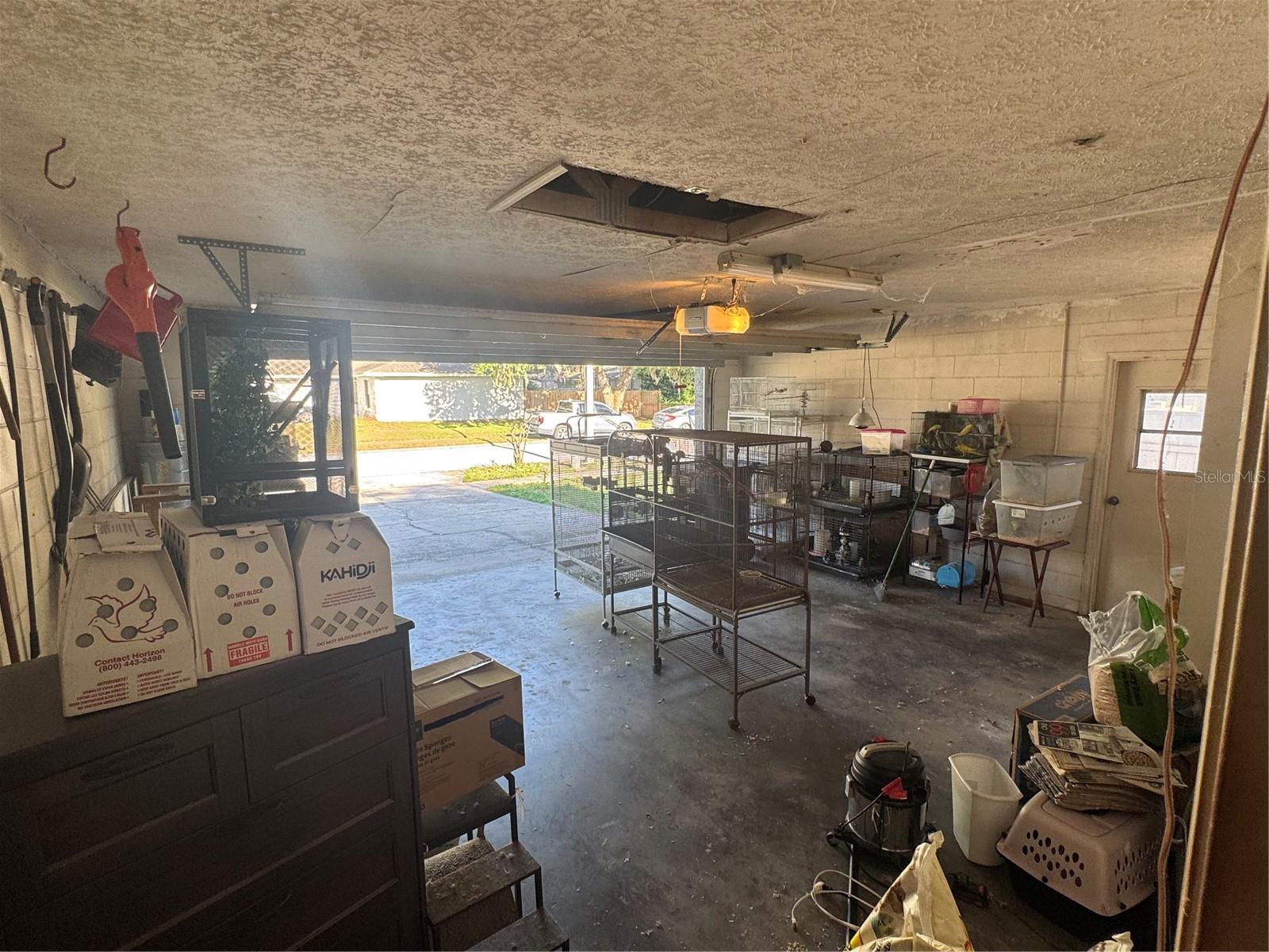 2376 WINDSOR OAKS AVE, LUTZ, FL, 33549