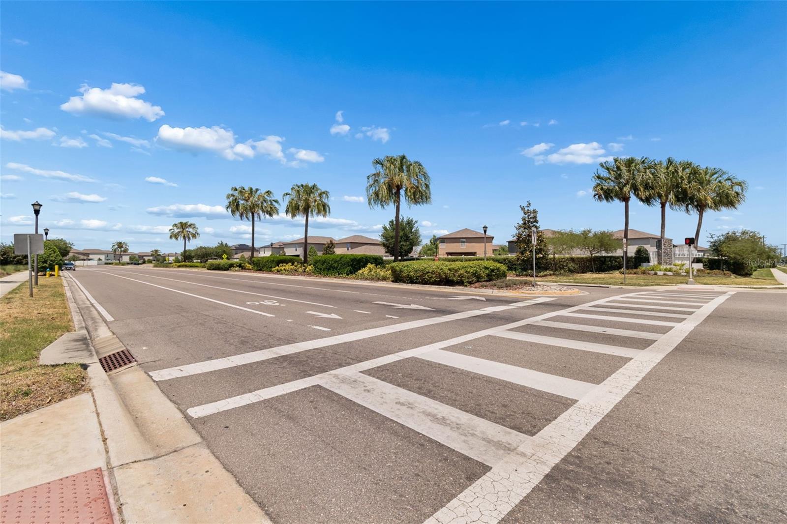 7422 FRENCH MARIGOLD AVE, TAMPA, FL, 33619