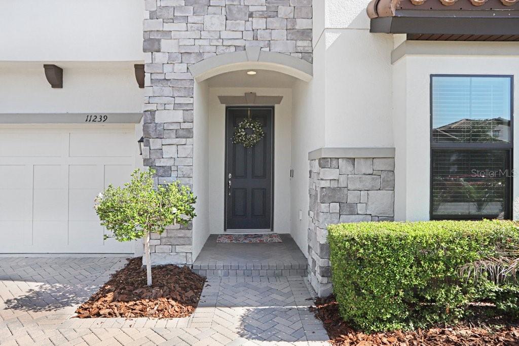 11239 FISH EAGLE DR, RIVERVIEW, FL, 33569