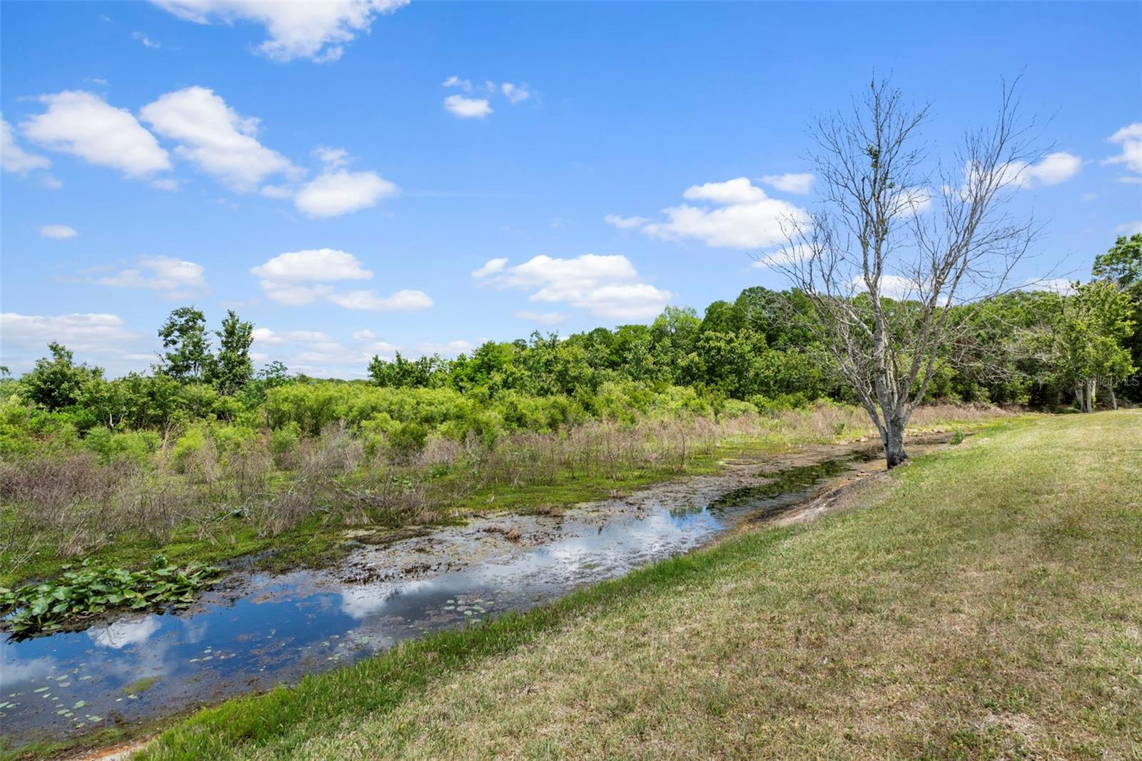 201 N GOLF HARBOR PATH, INVERNESS, FL, 34450