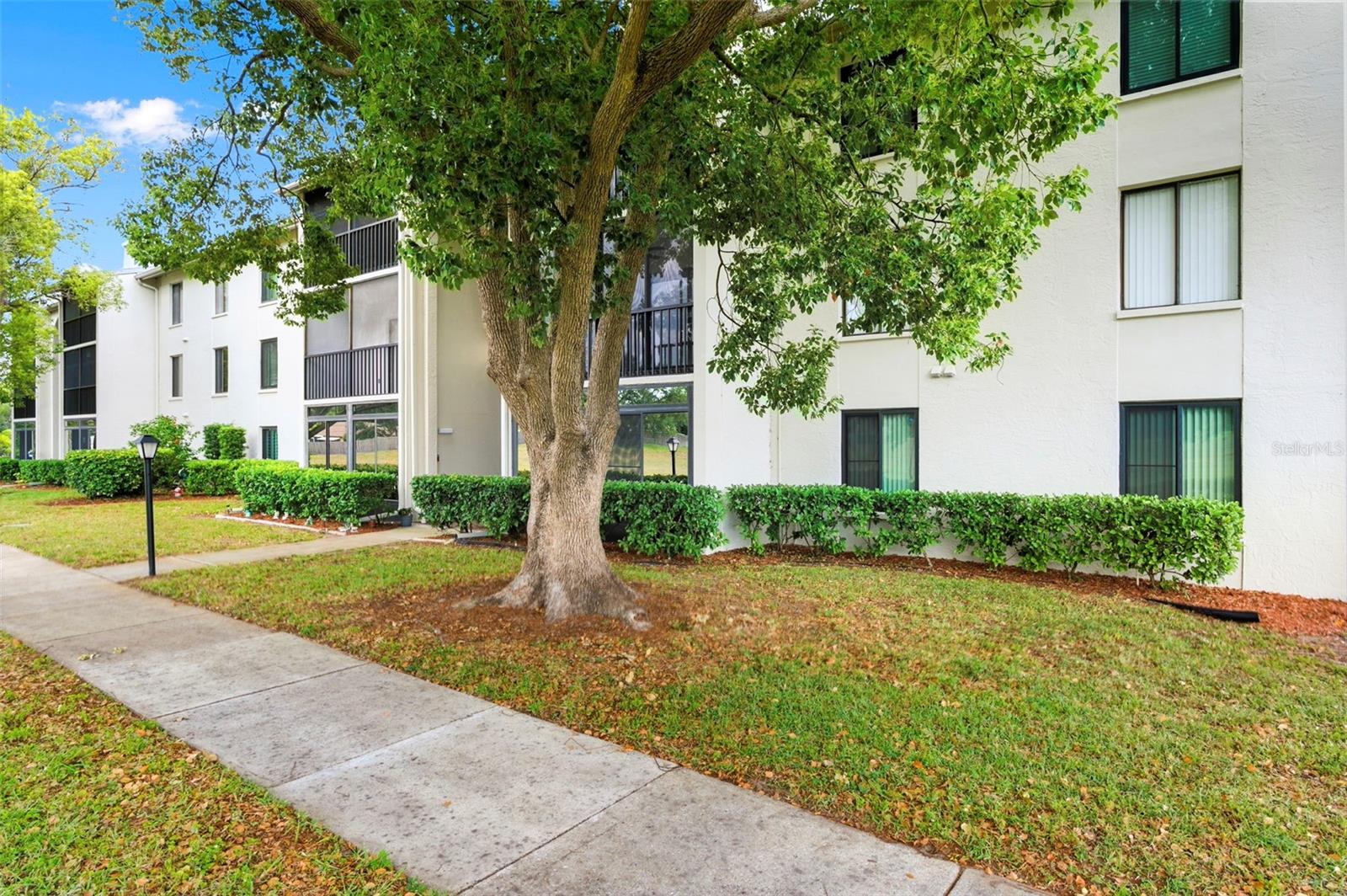 1871 PINE RIDGE WAY W #B2, PALM HARBOR, FL, 34684