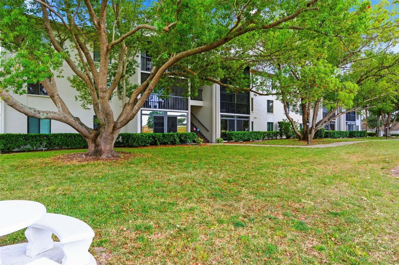 1871 PINE RIDGE WAY W #B2, PALM HARBOR, FL, 34684