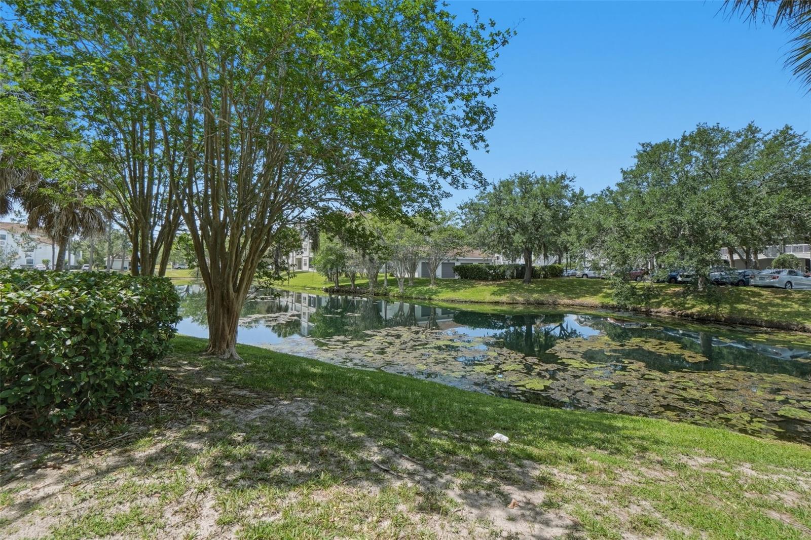 14036 FAIRWAY ISLAND DR #1515, ORLANDO, FL, 32837