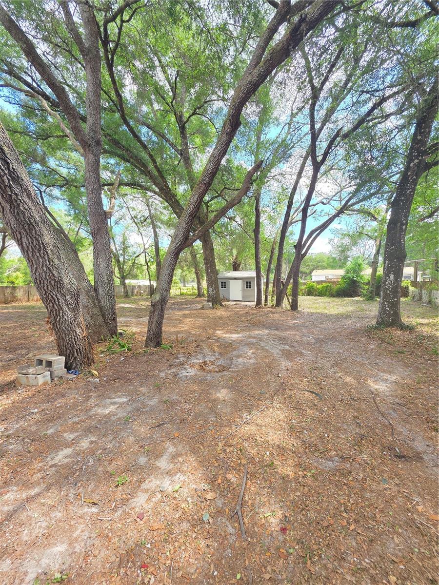 34934 PUNCH RD, DADE CITY, FL, 33523