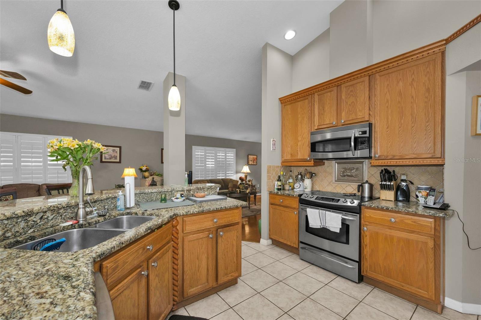 9630 GREEN NEEDLE DR, NEW PORT RICHEY, FL, 34655