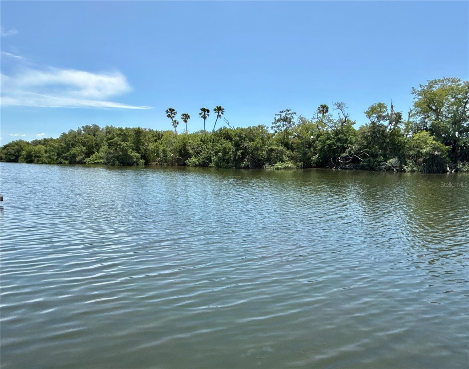 460 MOUNT OAK AVE NE #745, ST PETERSBURG, FL, 33702