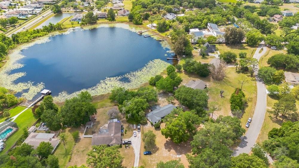 3636 LAKE BUYNAK RD, WINDERMERE, FL, 34786