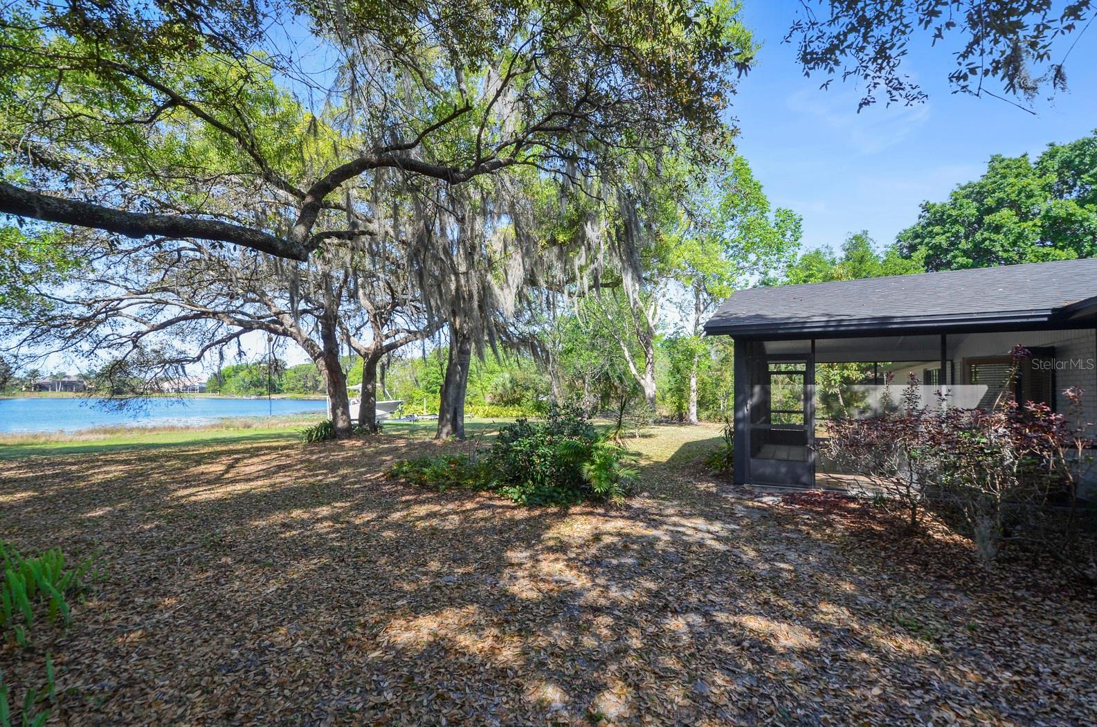 3636 LAKE BUYNAK RD, WINDERMERE, FL, 34786