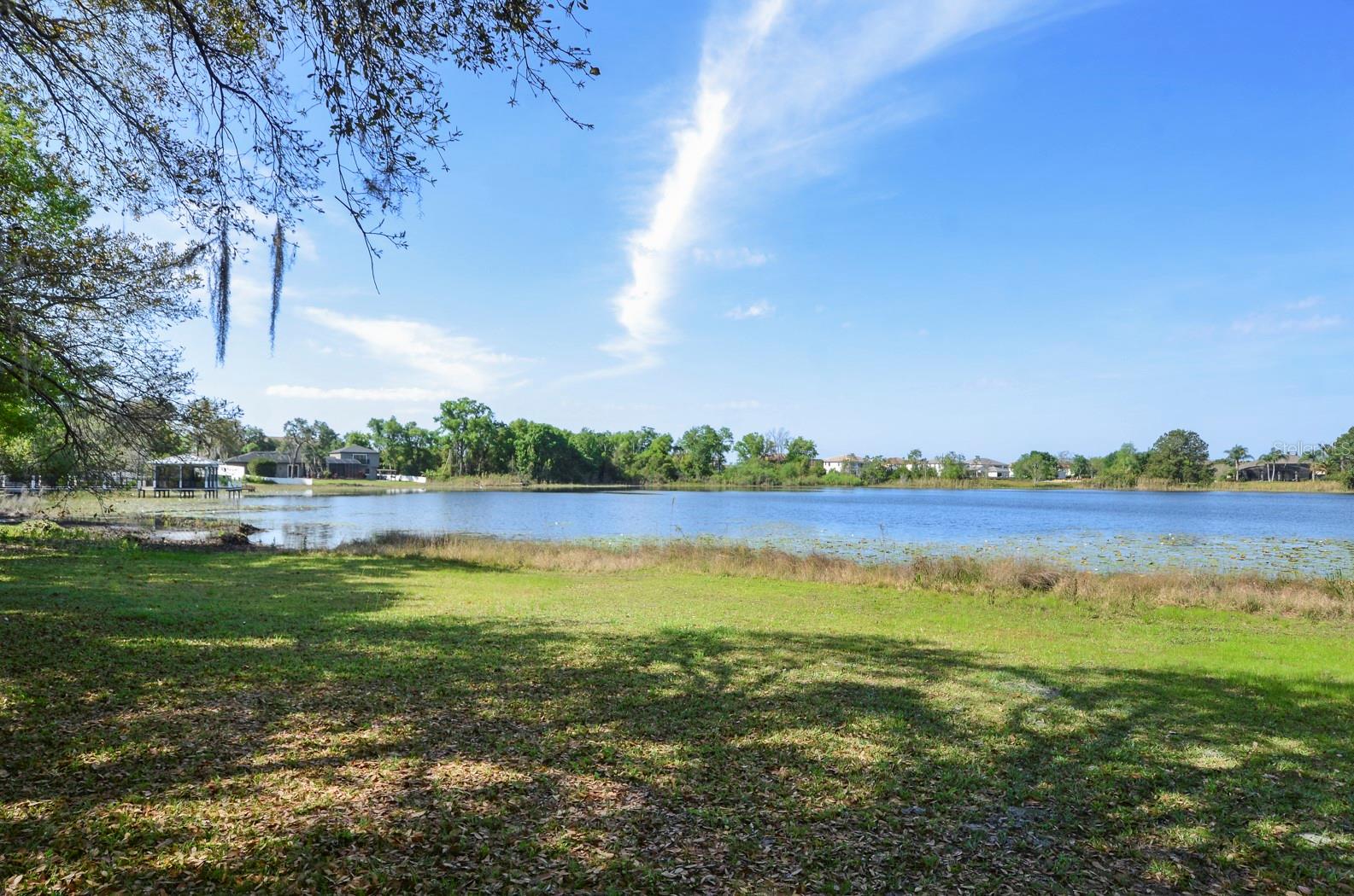 3636 LAKE BUYNAK RD, WINDERMERE, FL, 34786
