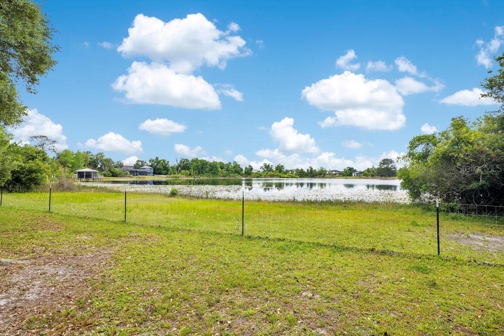 3636 LAKE BUYNAK RD, WINDERMERE, FL, 34786