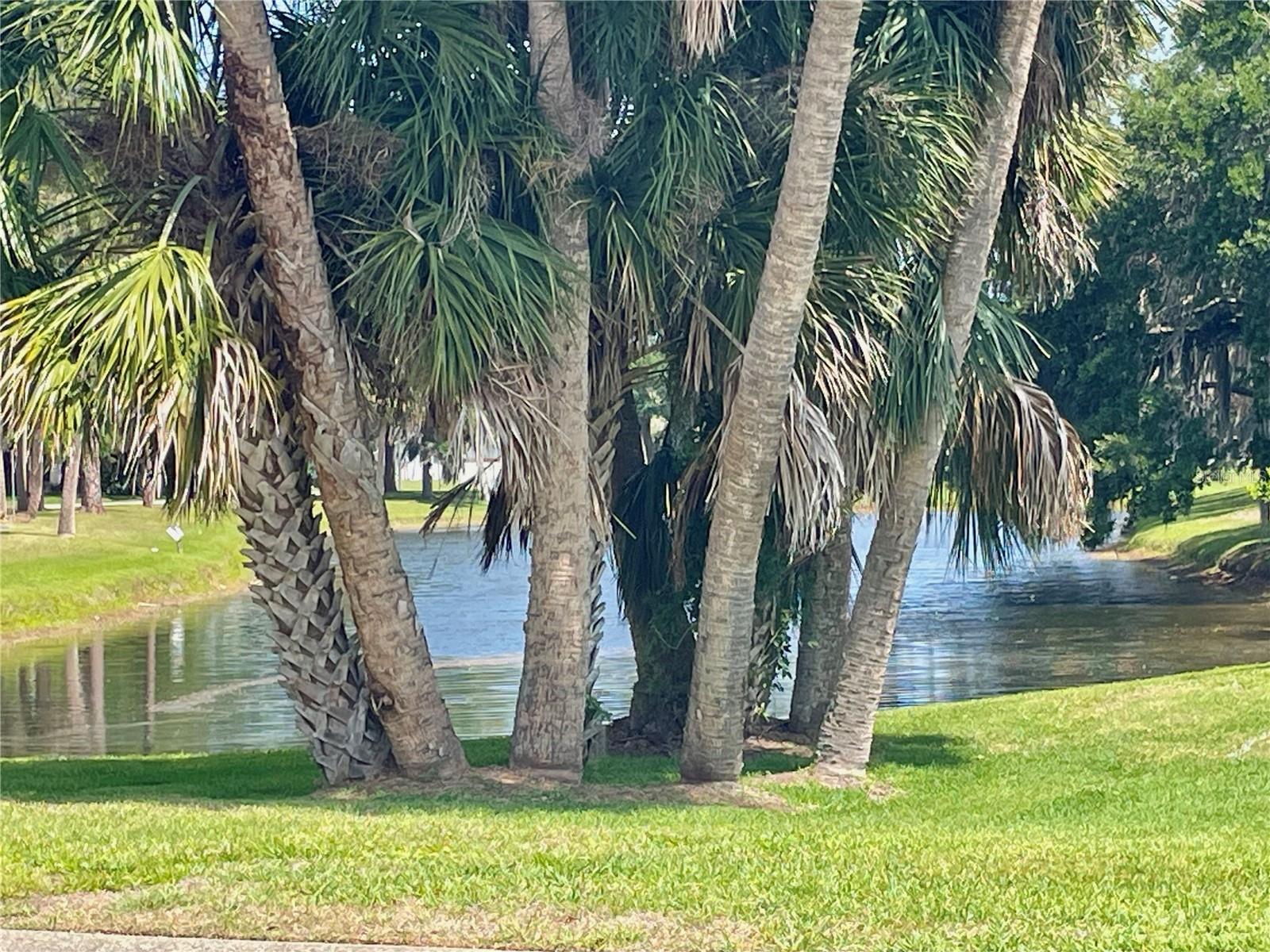 4552 ROCKLEDGE LN, PORT ORANGE, FL, 32127