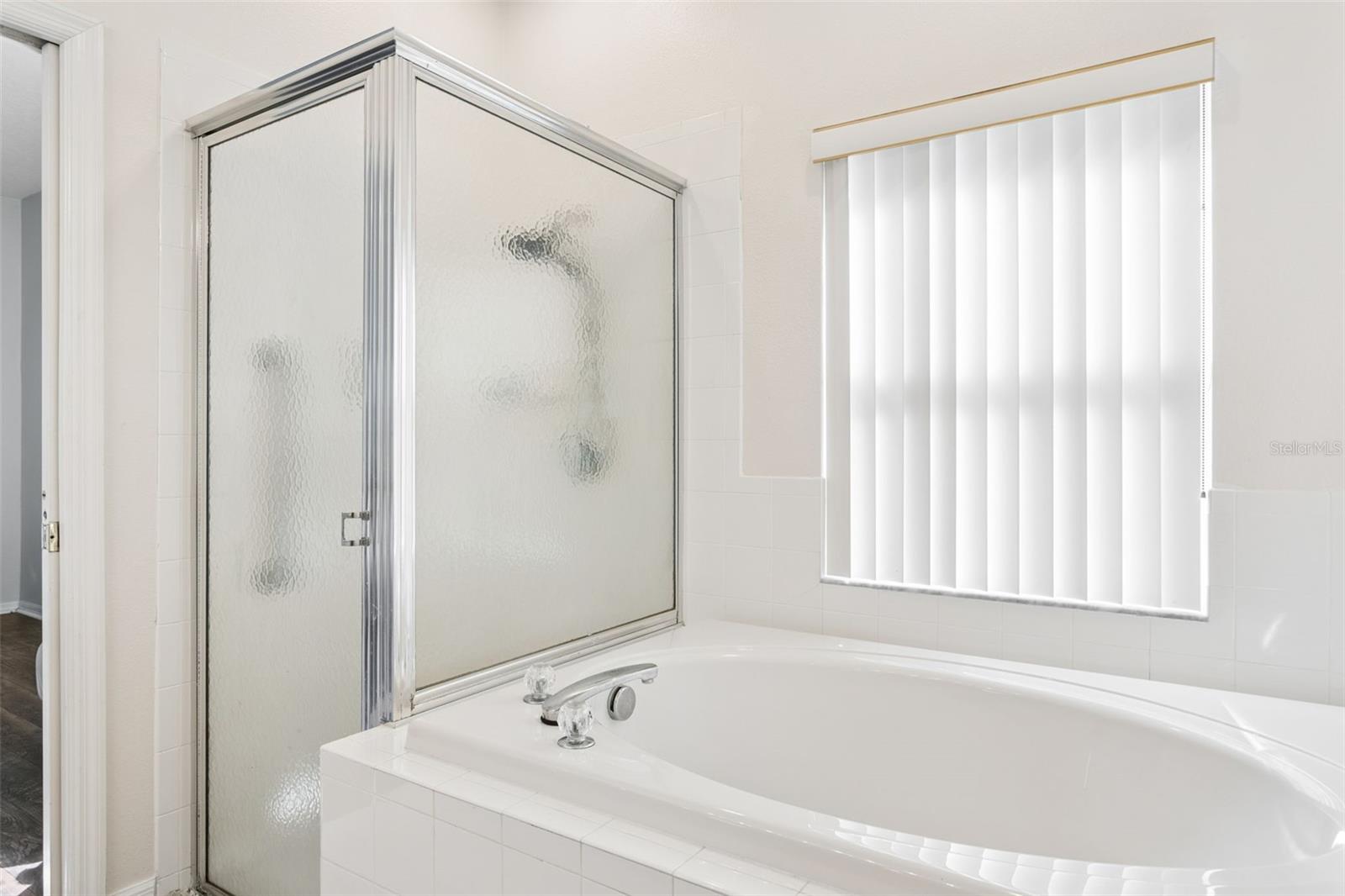 2925 BANYAN HILL LN, LAND O LAKES, FL, 34639