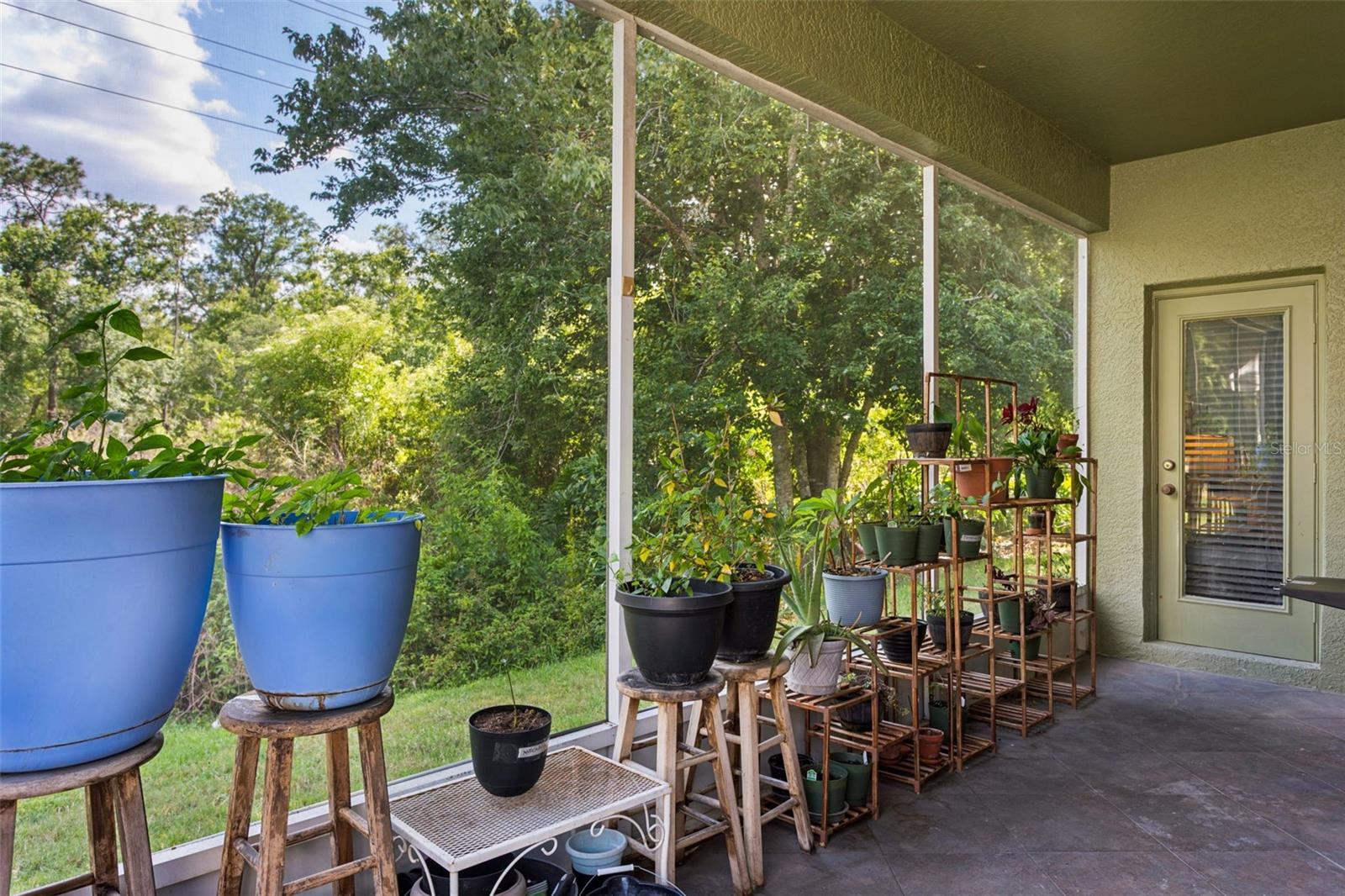 2925 BANYAN HILL LN, LAND O LAKES, FL, 34639