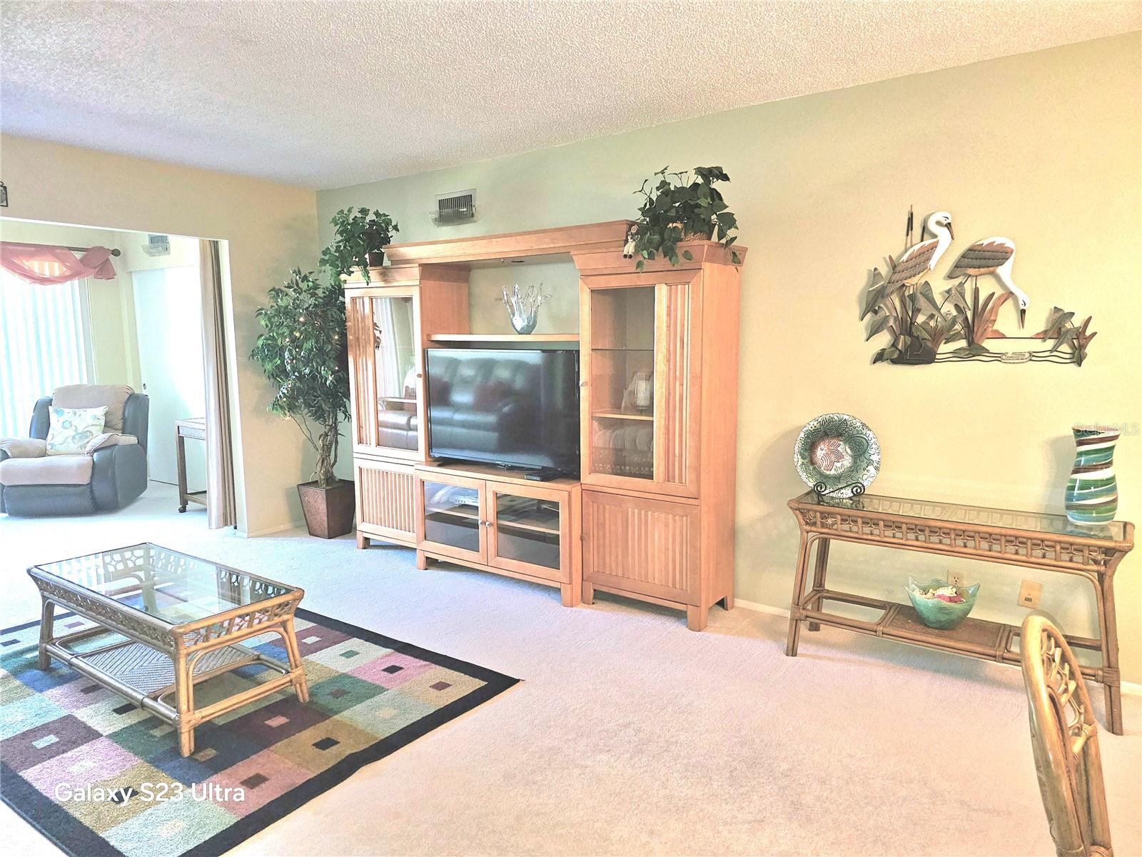 2440 WORLD PARKWAY BLVD #46, CLEARWATER, FL, 33763