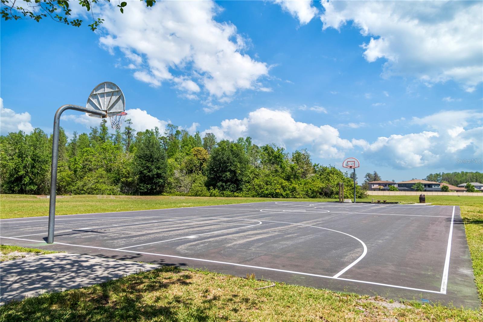 2916 WINGLEWOOD CIR, LUTZ, FL, 33558
