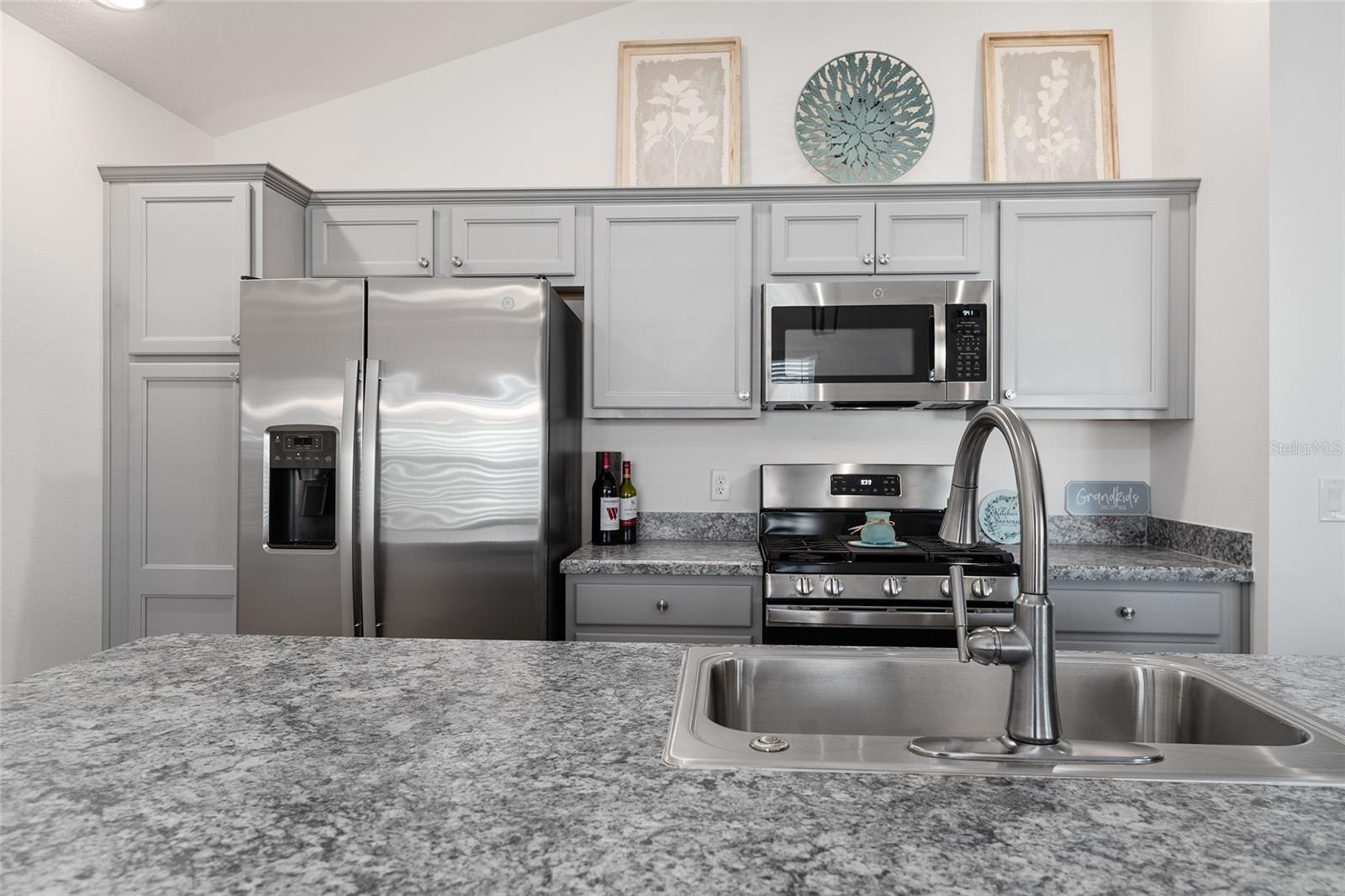 2909 CHIMBORAZO WAY, THE VILLAGES, FL, 32163