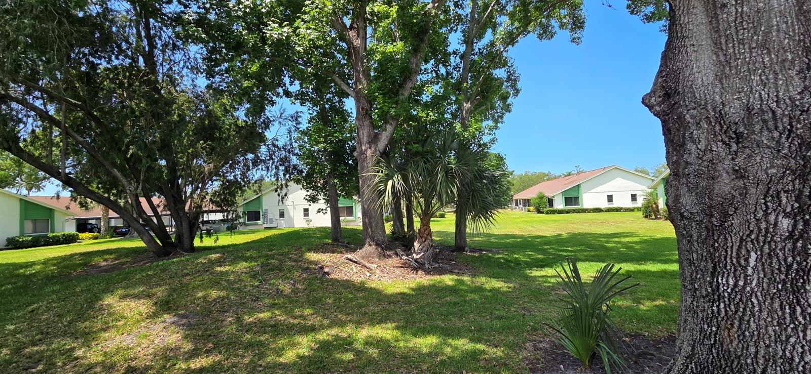 2532 ROYAL PINES CIR #21F, CLEARWATER, FL, 33763