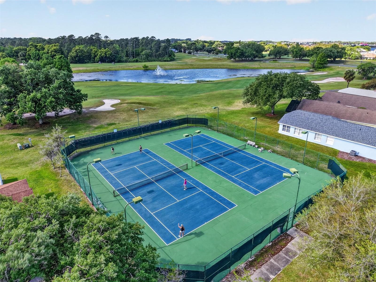 8041 SAINT JAMES WAY, MOUNT DORA, FL, 32757