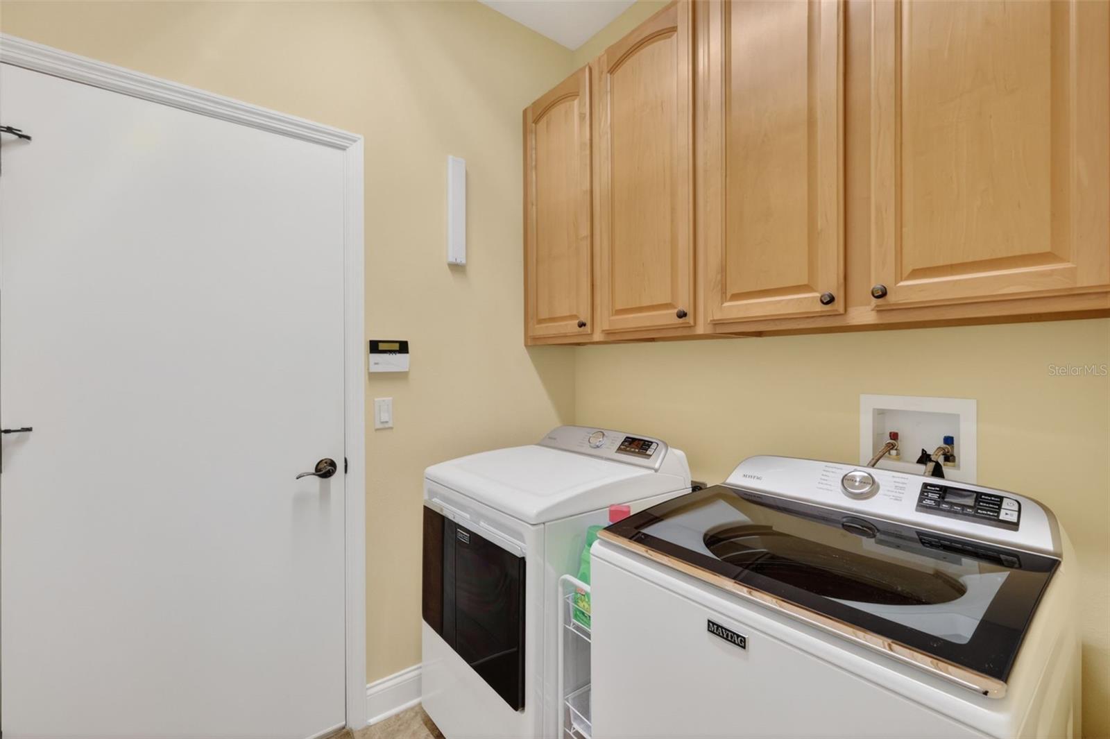 8041 SAINT JAMES WAY, MOUNT DORA, FL, 32757