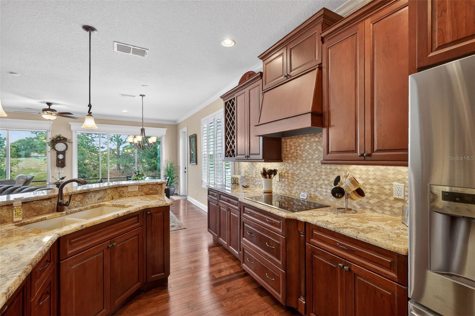 8041 SAINT JAMES WAY, MOUNT DORA, FL, 32757