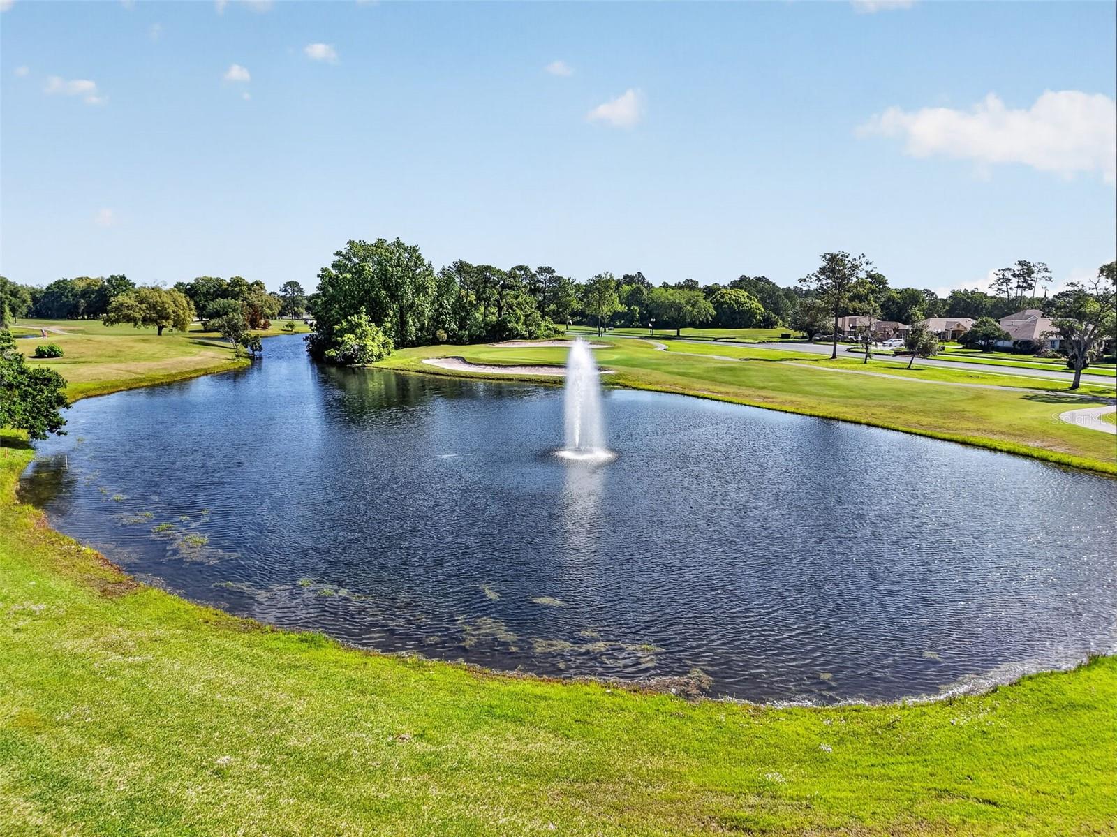 8041 SAINT JAMES WAY, MOUNT DORA, FL, 32757
