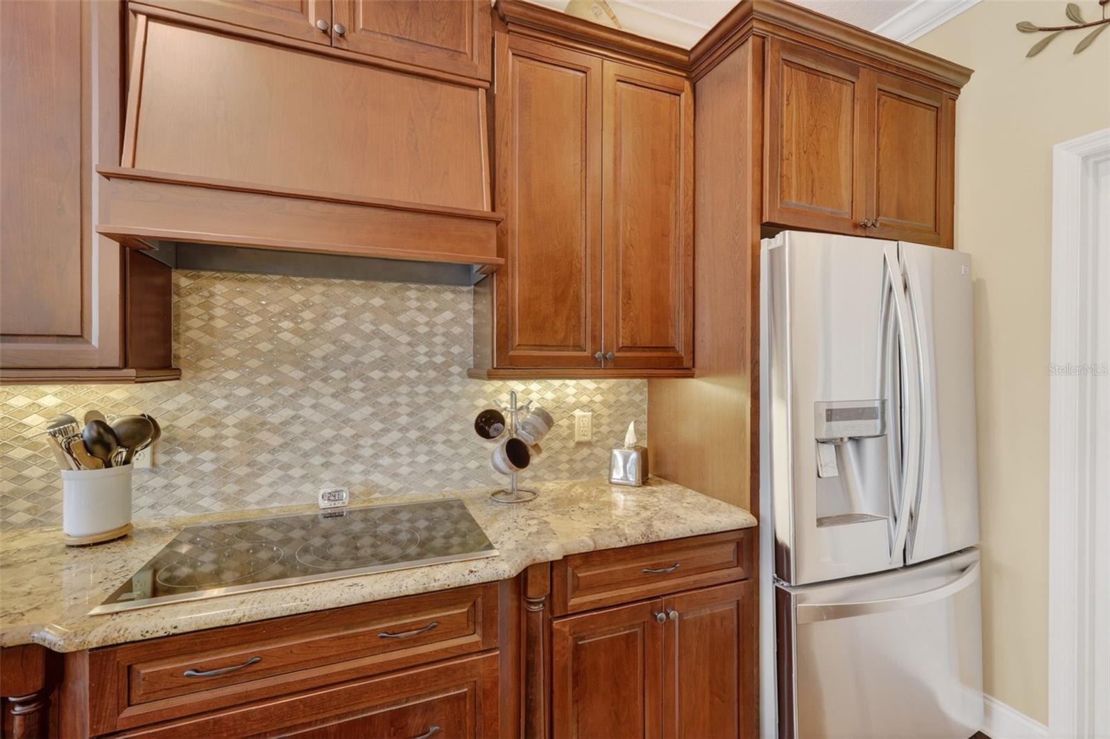 8041 SAINT JAMES WAY, MOUNT DORA, FL, 32757