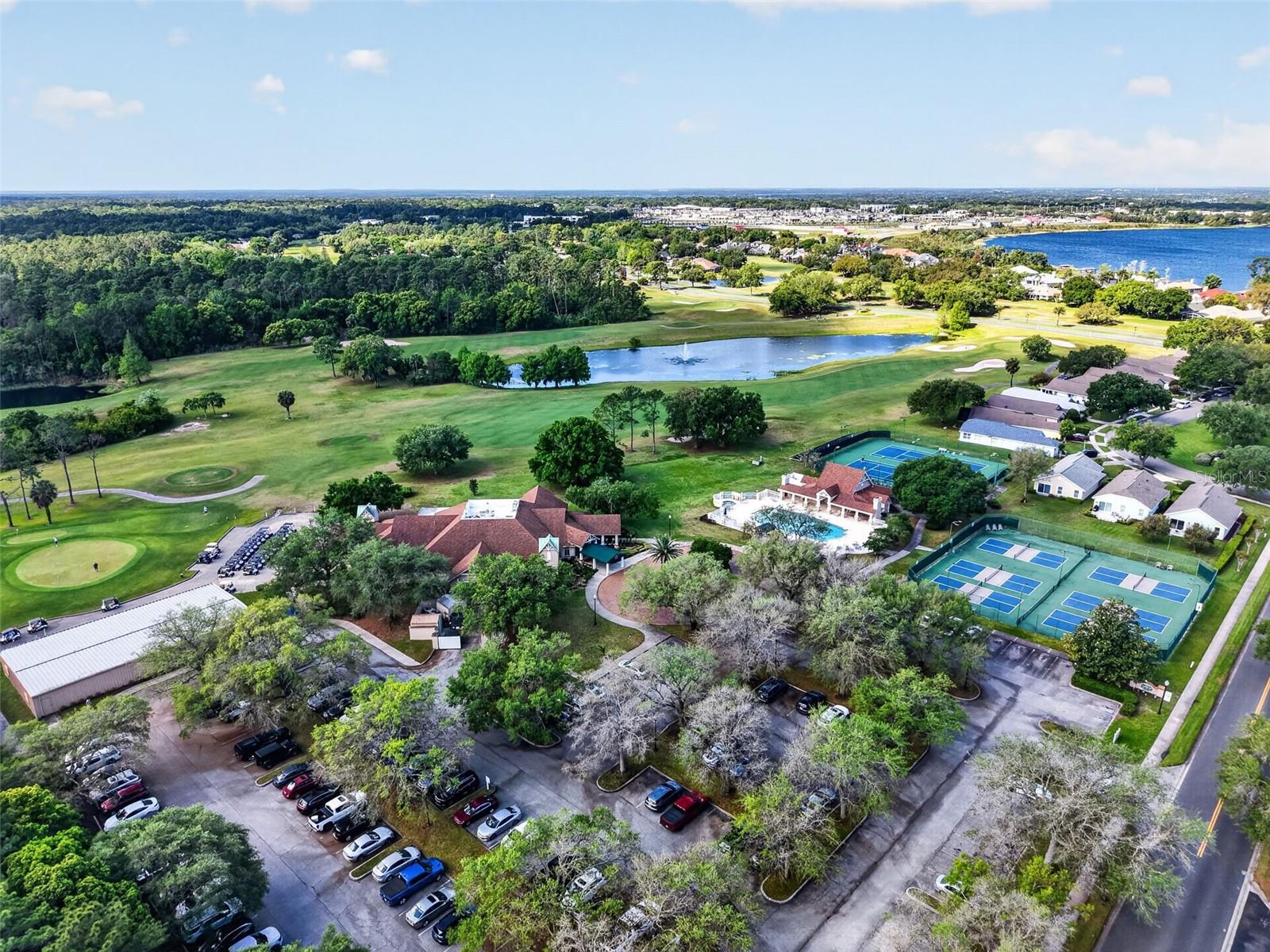 8041 SAINT JAMES WAY, MOUNT DORA, FL, 32757