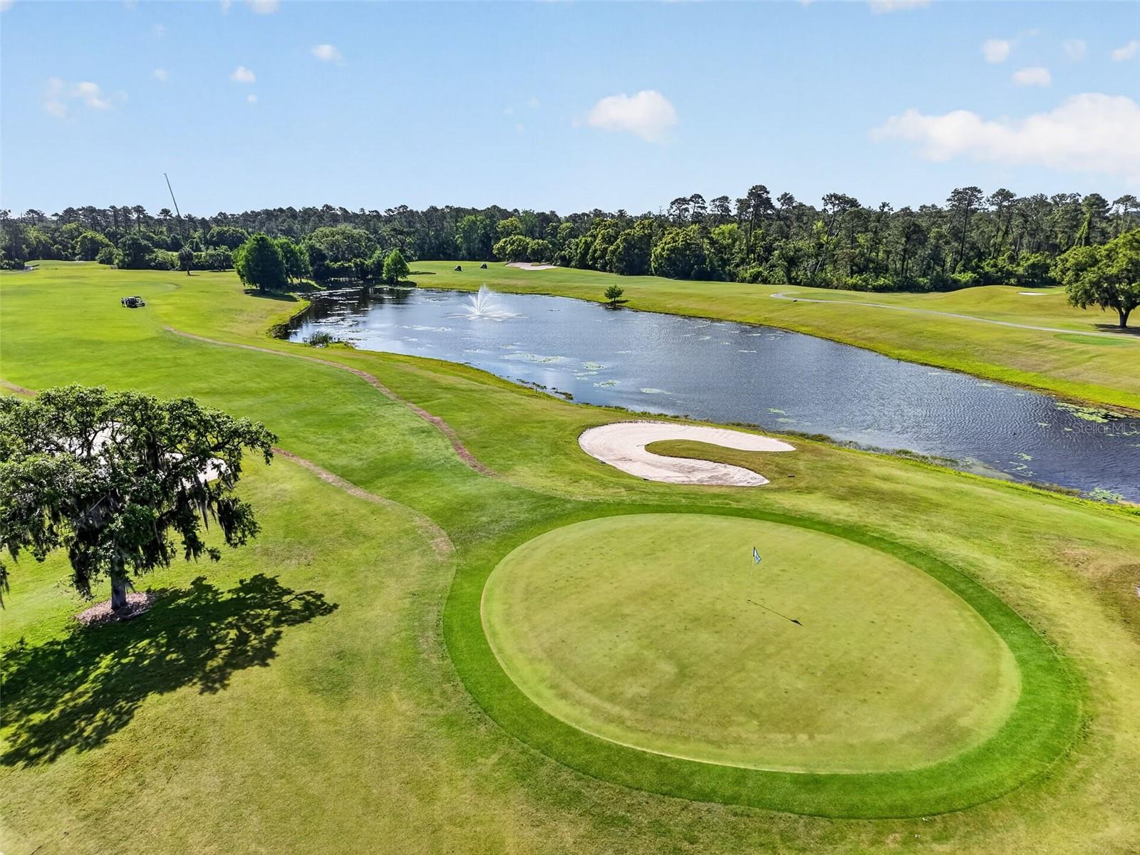 8041 SAINT JAMES WAY, MOUNT DORA, FL, 32757