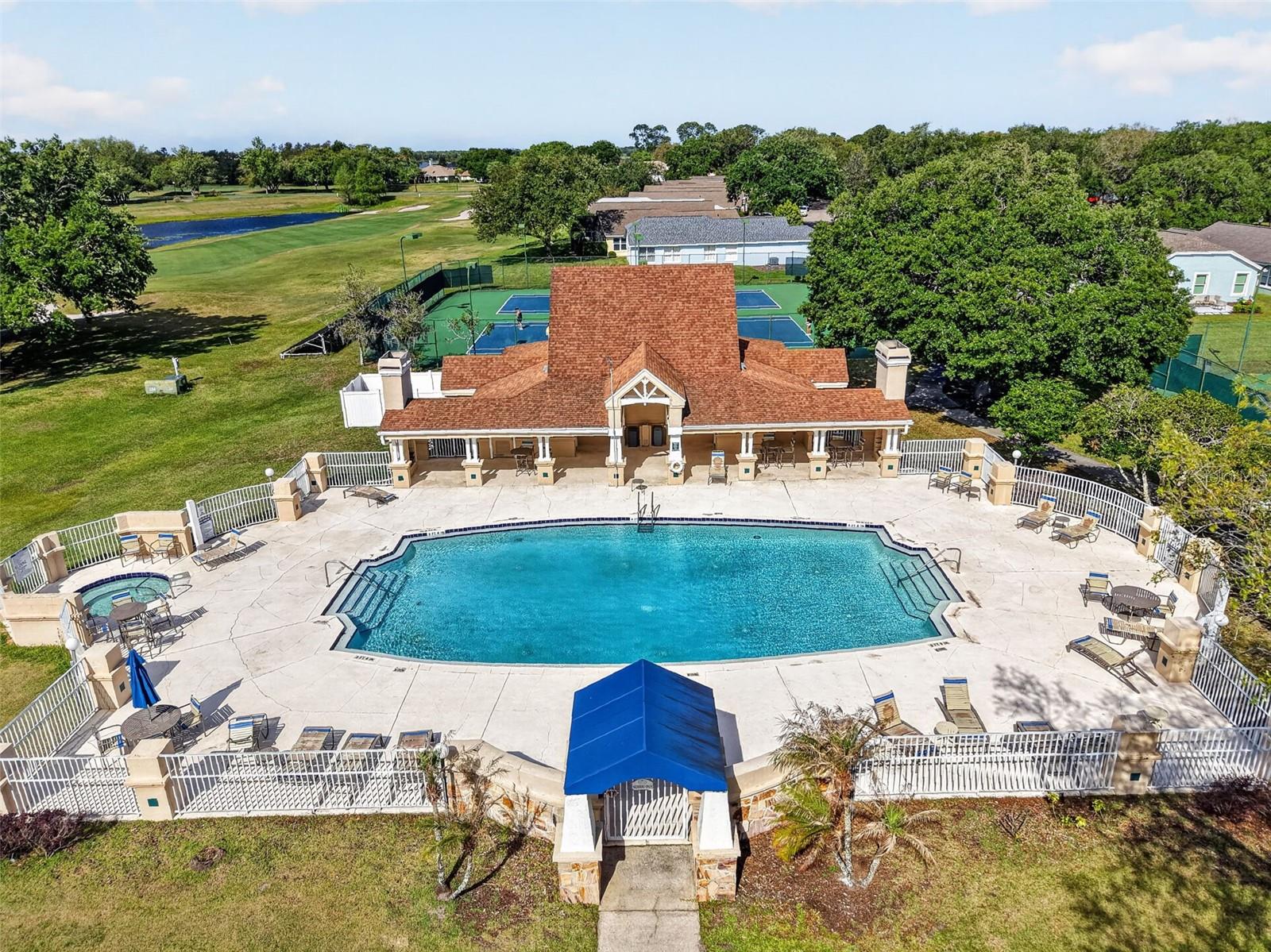 8041 SAINT JAMES WAY, MOUNT DORA, FL, 32757
