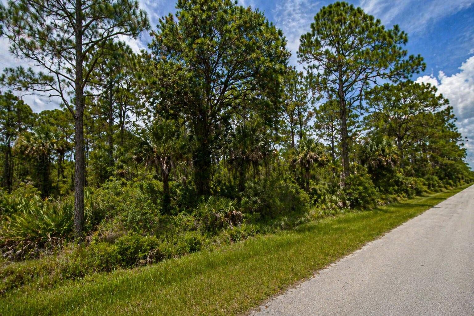 13084 RANKIN AVE, PORT CHARLOTTE, FL, 33953