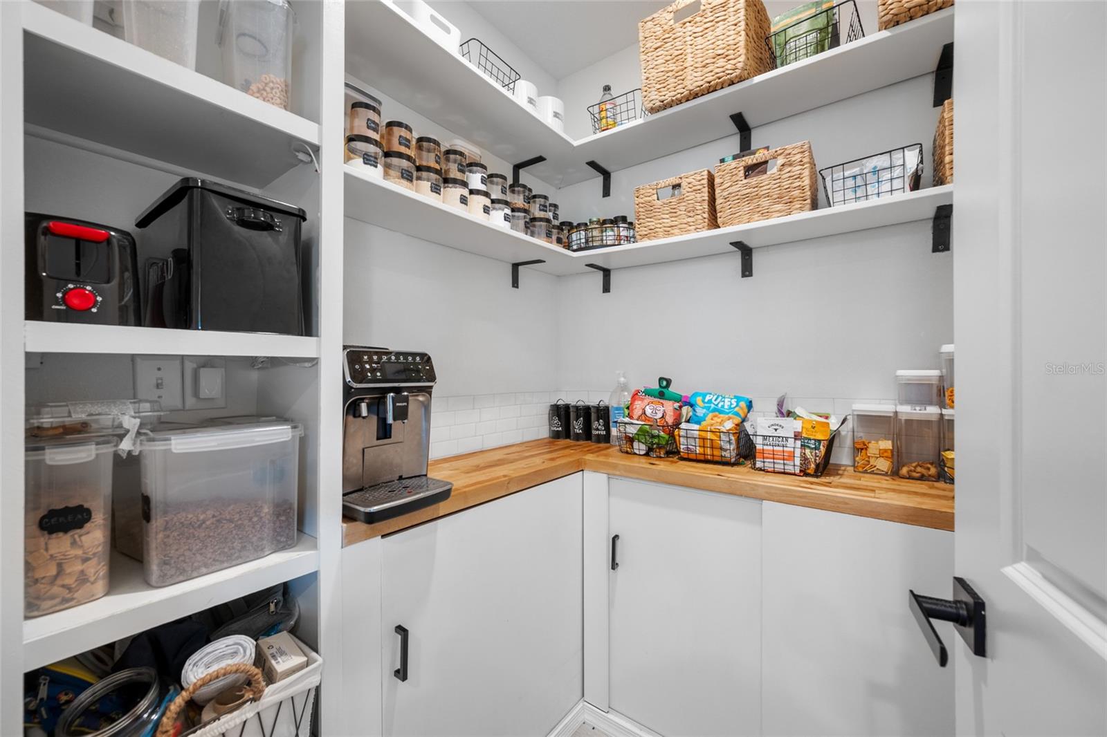 16826 SECRET MEADOW DR, ODESSA, FL, 33556