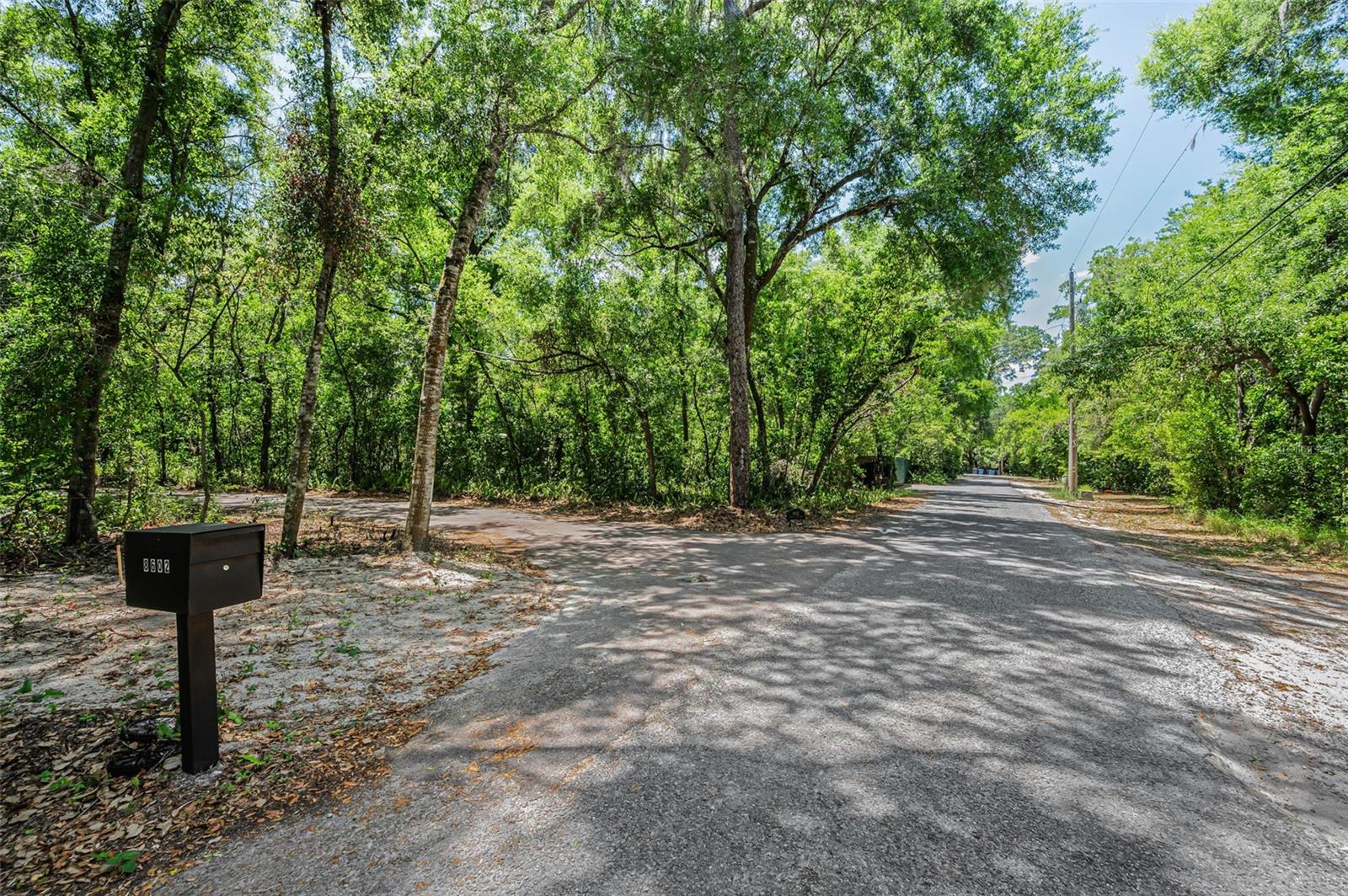 8602 BONNIE COVE LN, ODESSA, FL, 33556