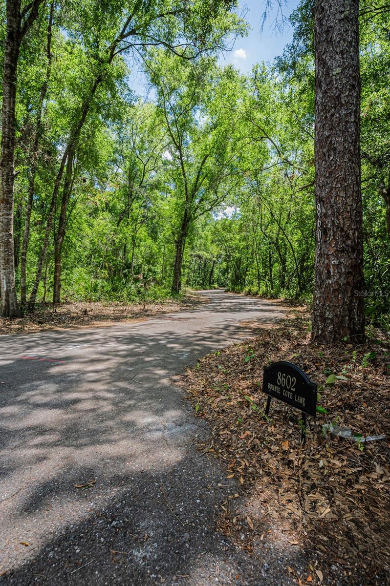 8602 BONNIE COVE LN, ODESSA, FL, 33556