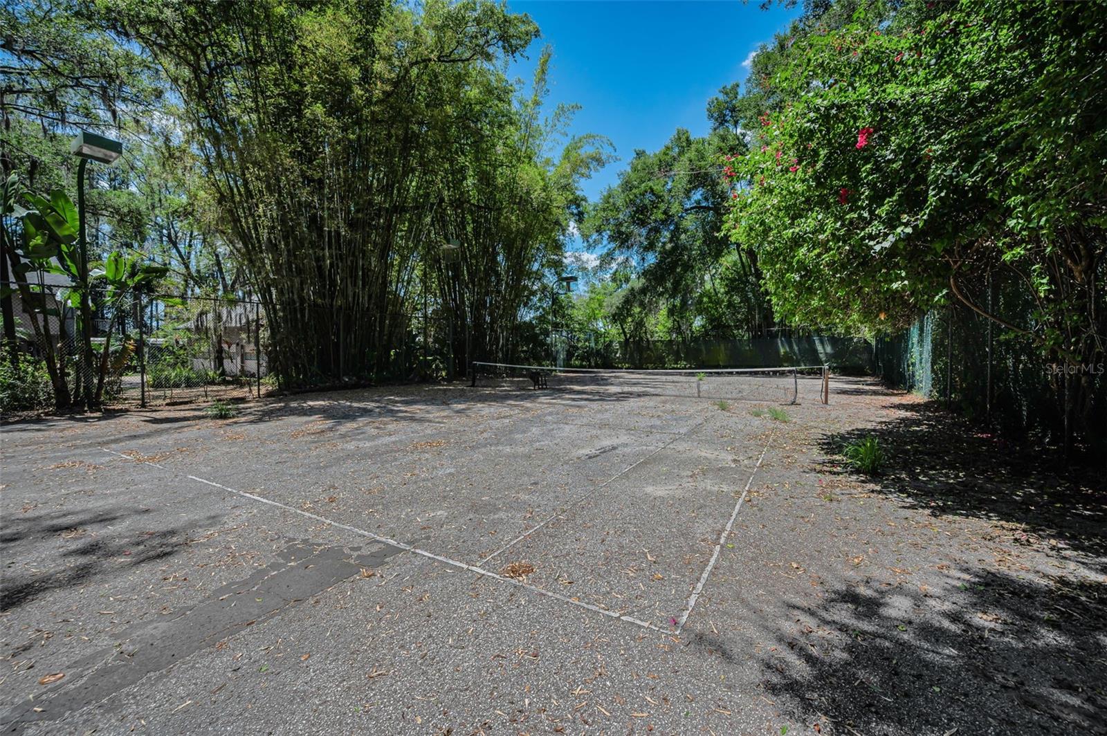 8602 BONNIE COVE LN, ODESSA, FL, 33556