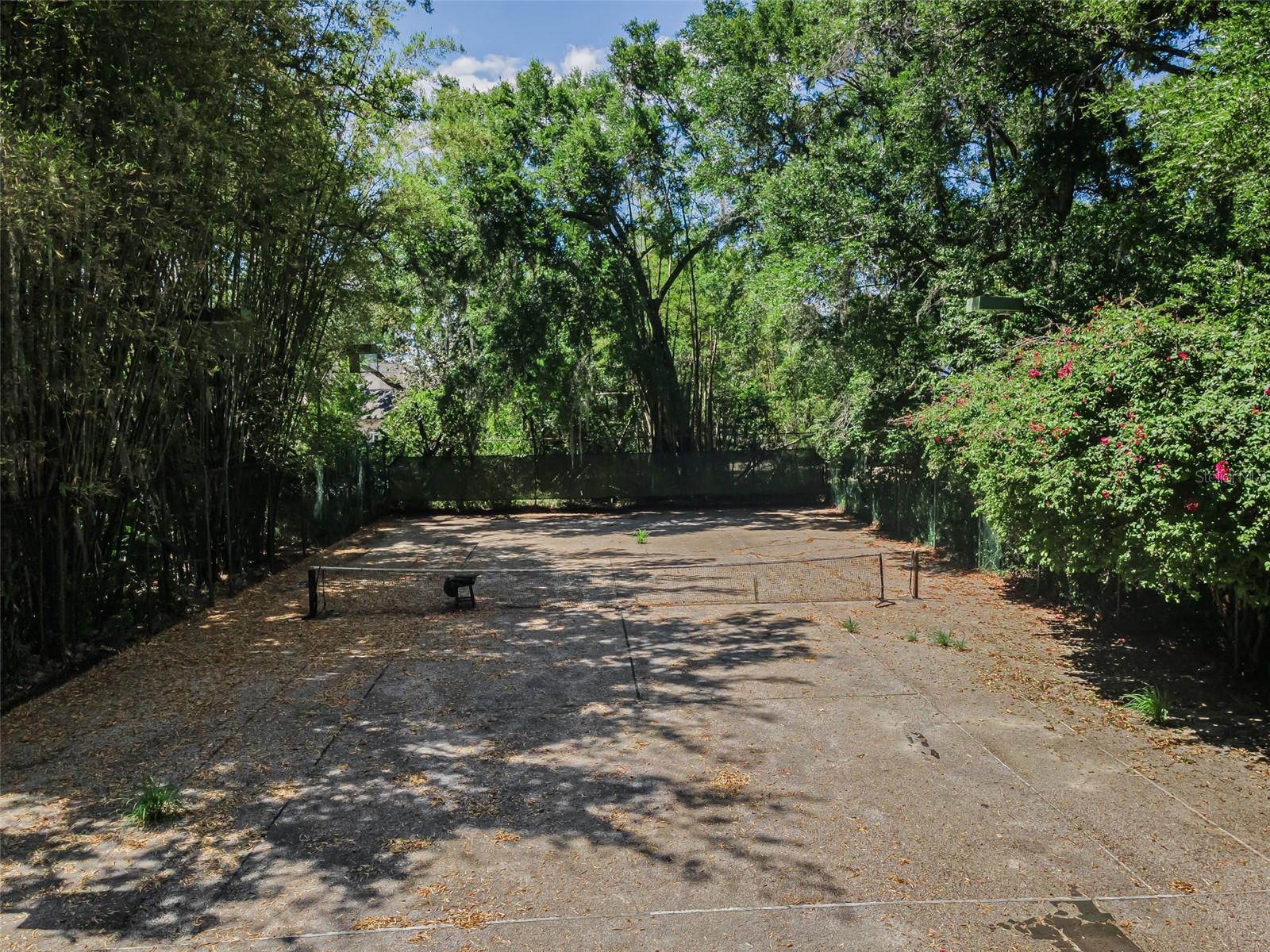 8602 BONNIE COVE LN, ODESSA, FL, 33556