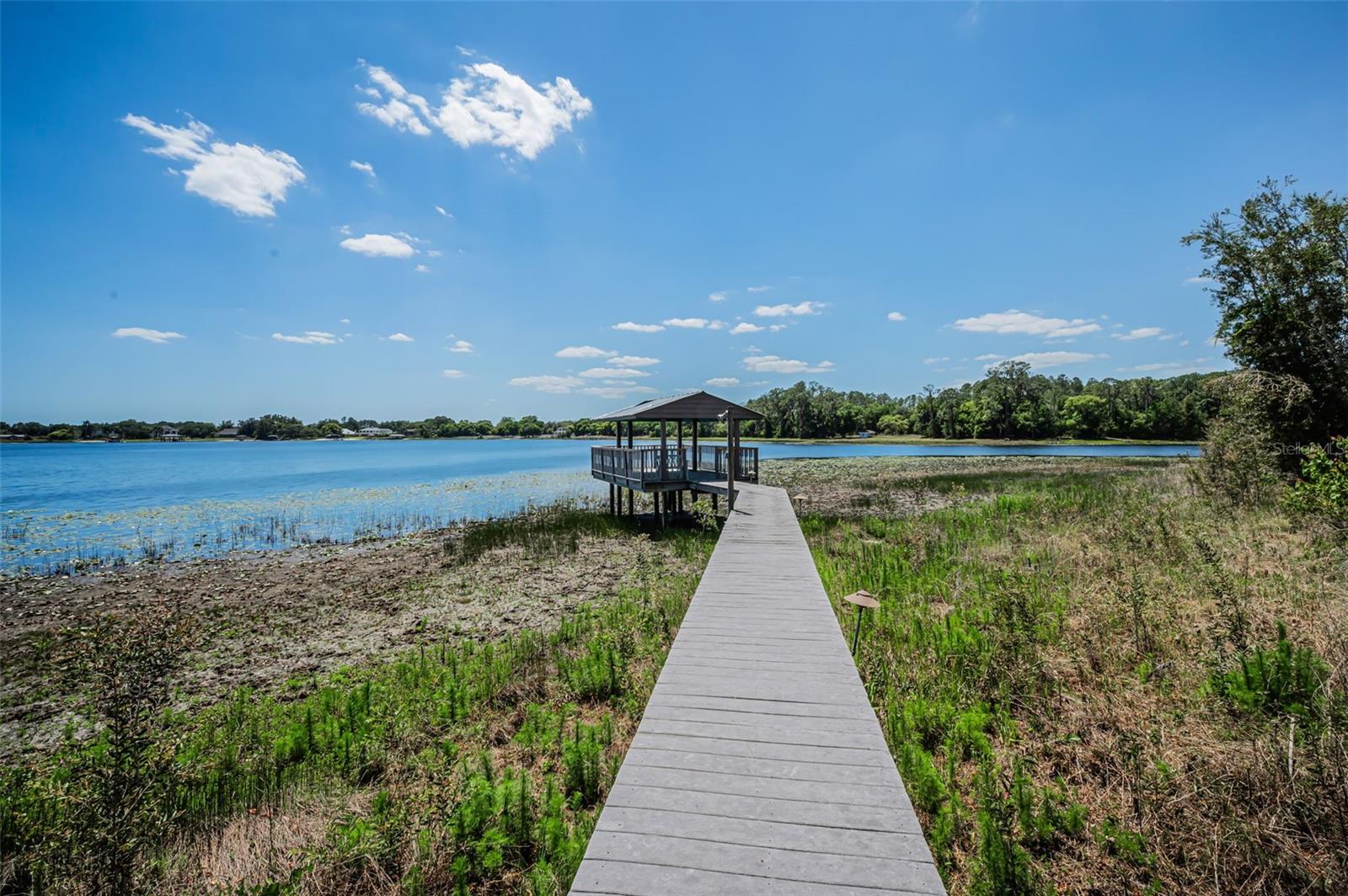 8602 BONNIE COVE LN, ODESSA, FL, 33556