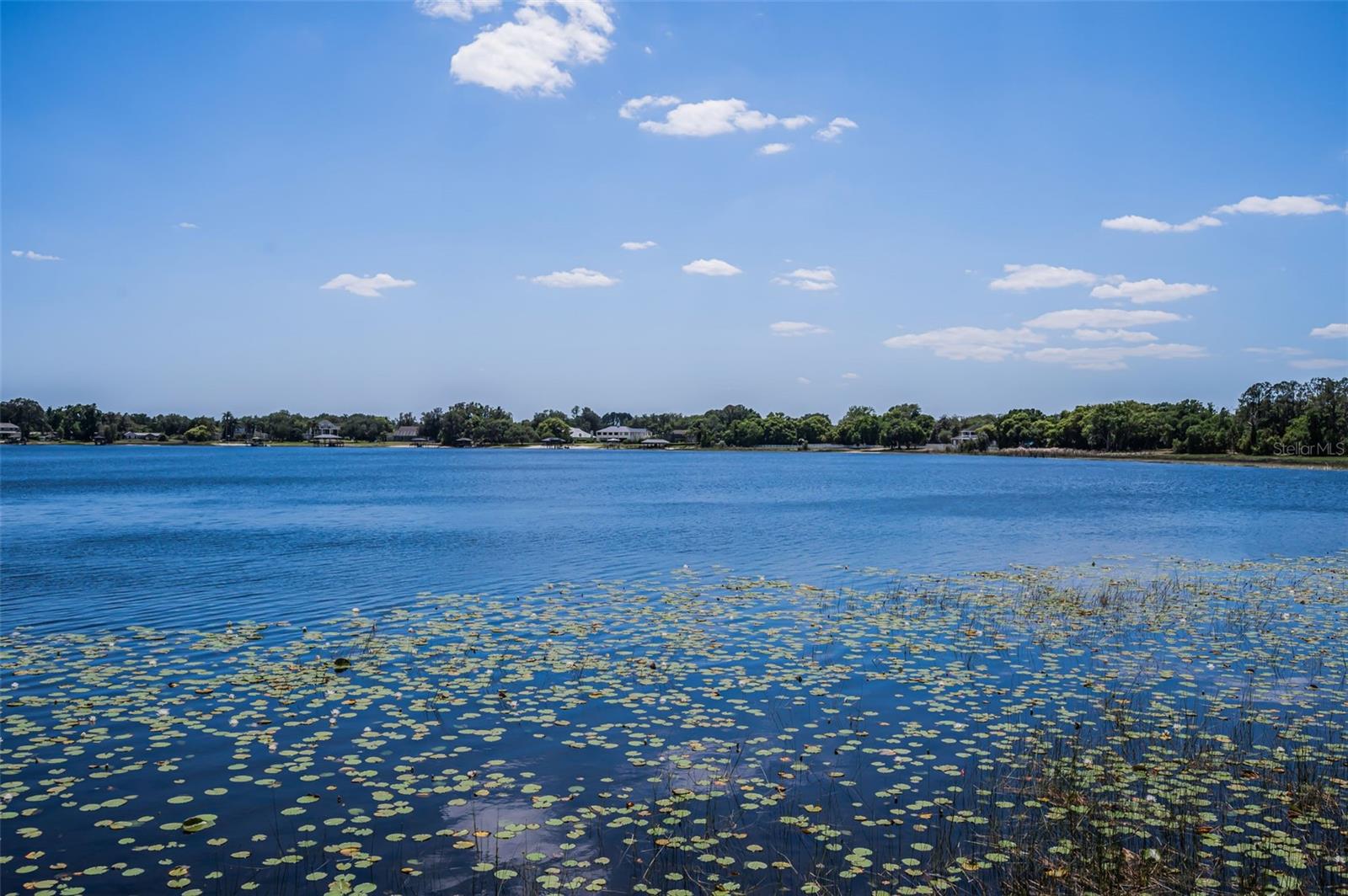 8602 BONNIE COVE LN, ODESSA, FL, 33556