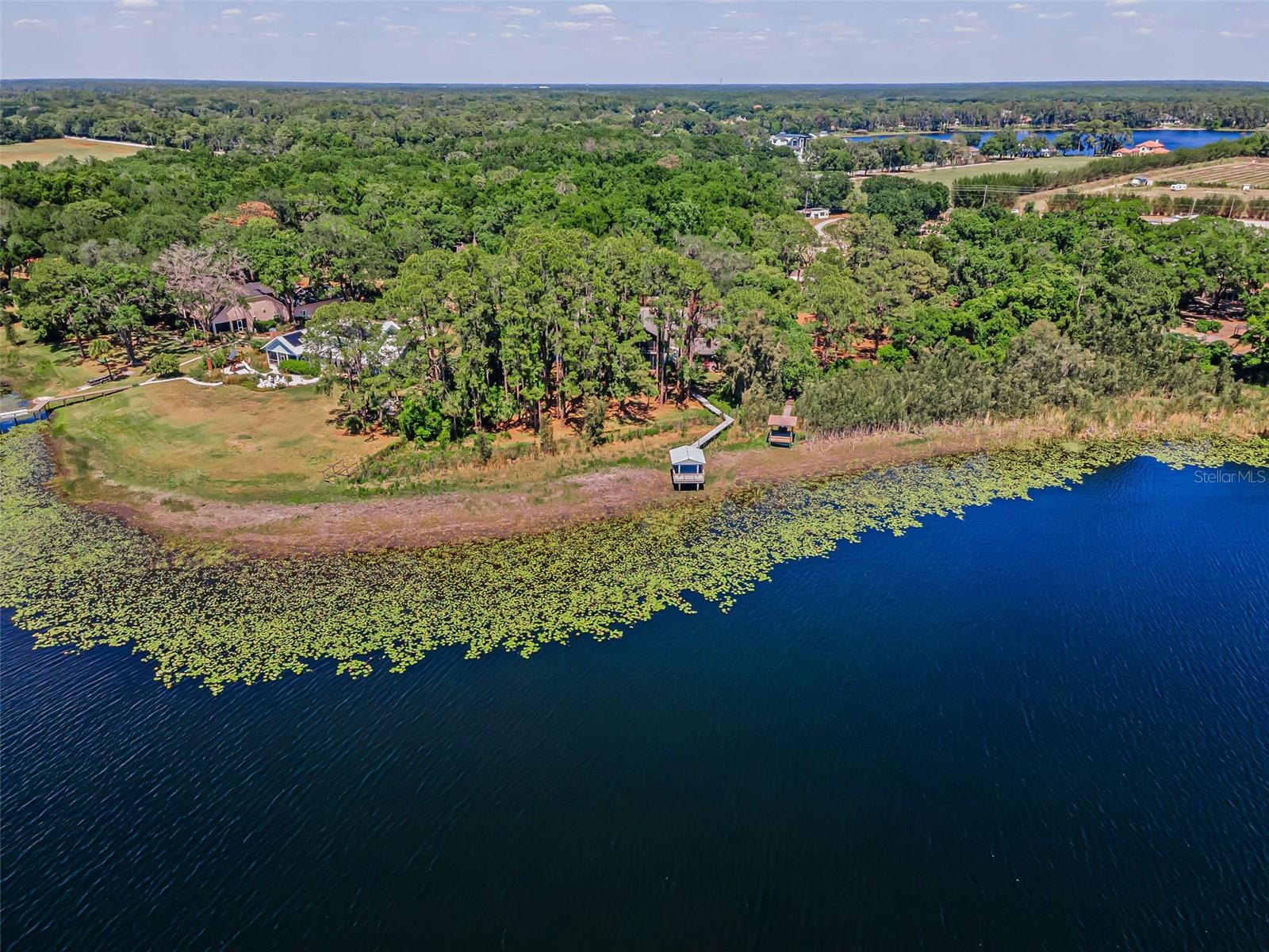 8602 BONNIE COVE LN, ODESSA, FL, 33556