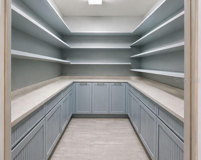 8602 BONNIE COVE LN, ODESSA, FL, 33556