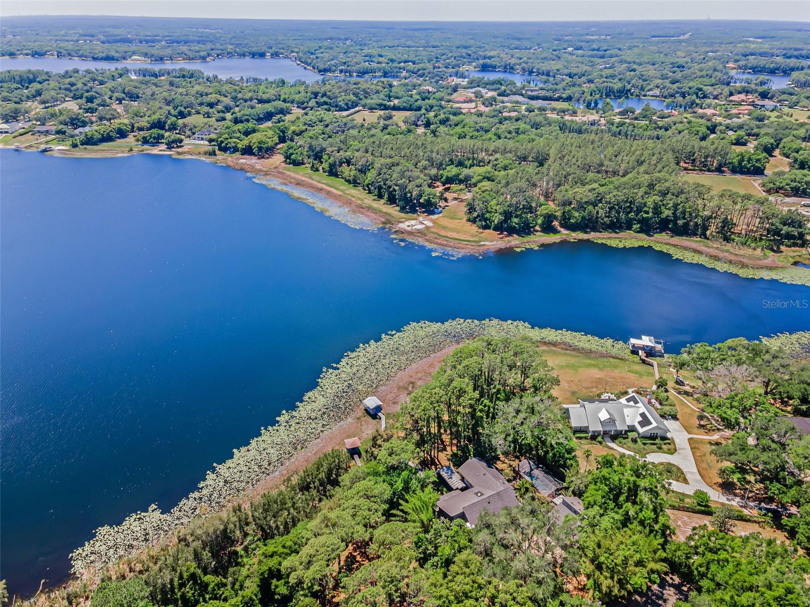 8602 BONNIE COVE LN, ODESSA, FL, 33556