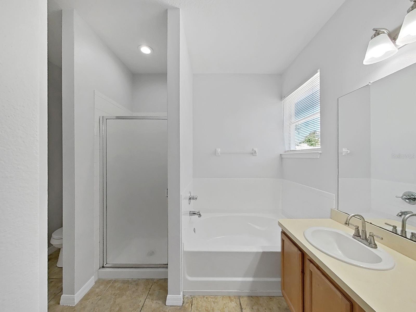3223 AZALEA BLOSSOM DR, PLANT CITY, FL, 33567