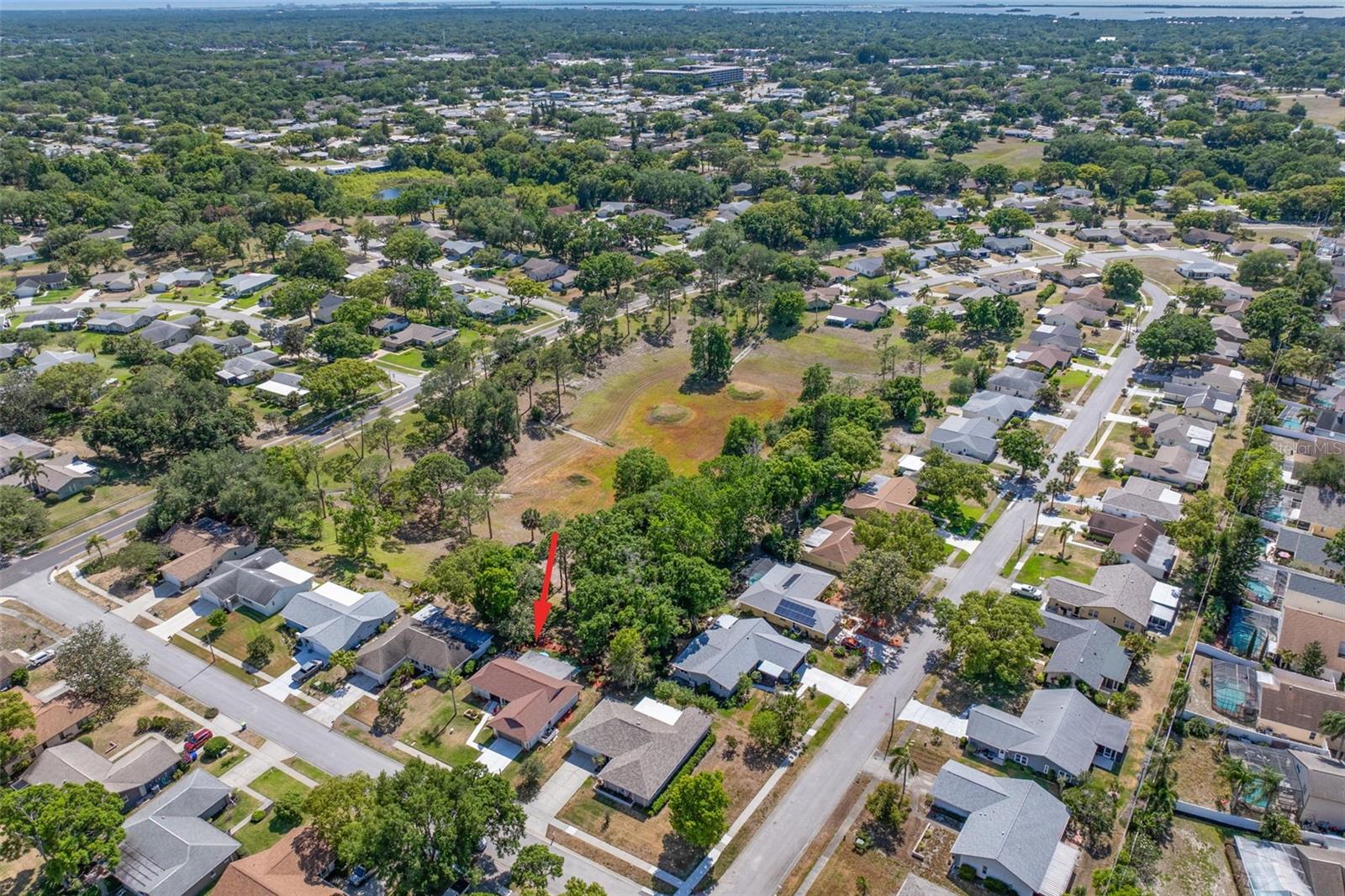 1756 MACDONNELL DR, PALM HARBOR, FL, 34684