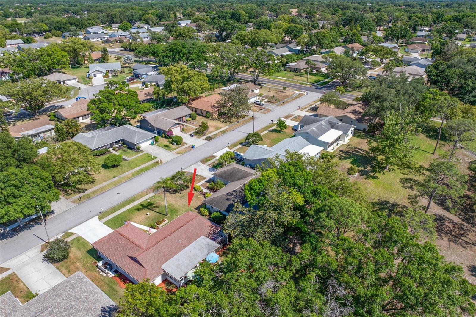 1756 MACDONNELL DR, PALM HARBOR, FL, 34684