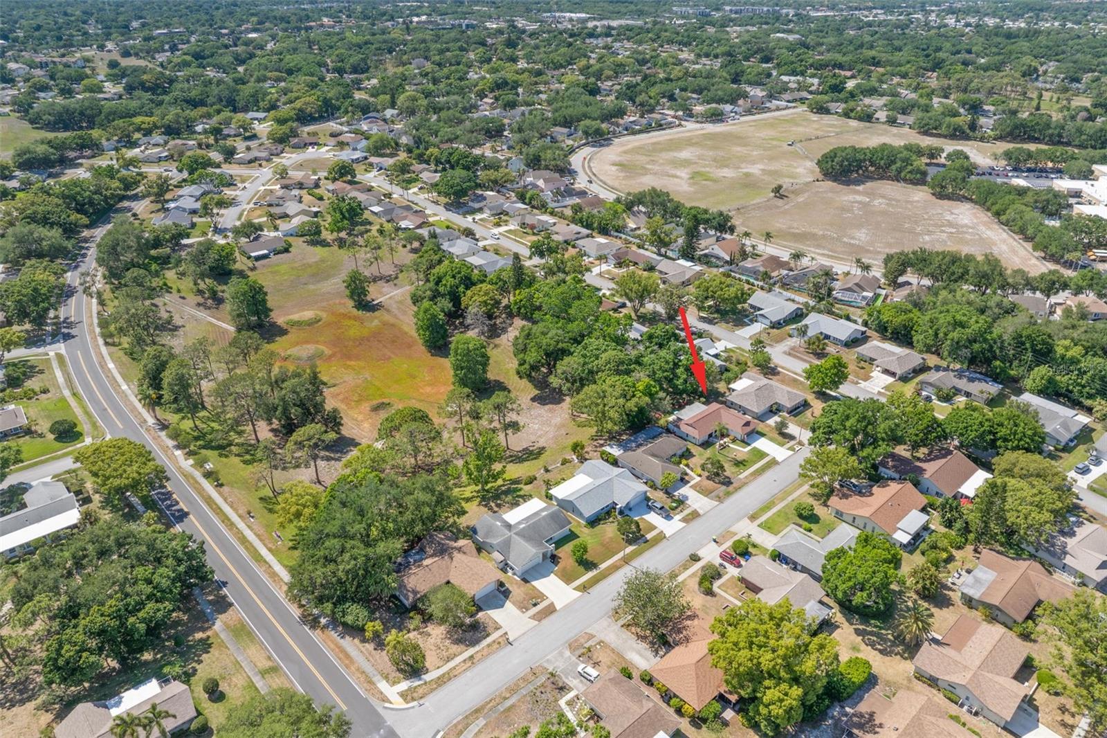 1756 MACDONNELL DR, PALM HARBOR, FL, 34684